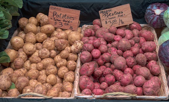 fresh produce at a farmers market