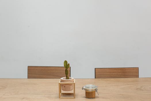 clean and organized minimalist living room