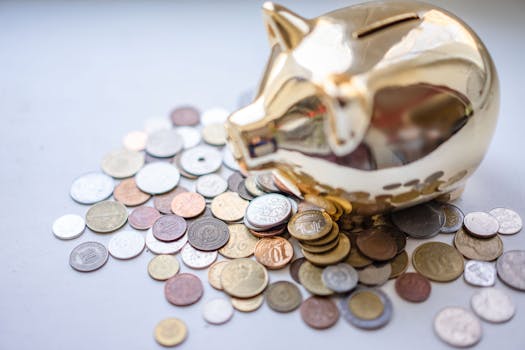 image of a piggy bank with cash